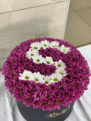Kutu 02