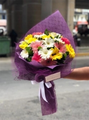 Gerbera Buketi